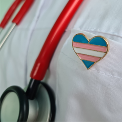 Transgender and Gender-Nonconforming Nursing Care: A Framework for Nurse Leaders